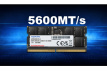 AD5S56008G-S Adata 8GB DDR5-5600 SO-DIMM