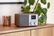 Pinell Supersound 201W Walnoot Pinell Supersound 201W Walnoot
