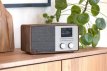 Pinell Supersound 301 Walnoot Pinell Supersound 301 Walnoot