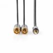 ProfiGold 3.5 mm Jack naar 2x RCA Audio Kabel ProfiGold 3.5 mm Jack naar 2x RCA Audio Kabel