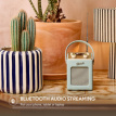Duck Egg Blue Roberts Revival Mini 2