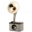 Sangean CP-100D Zwart-goud Sangean CP-100D Zwart-goud
